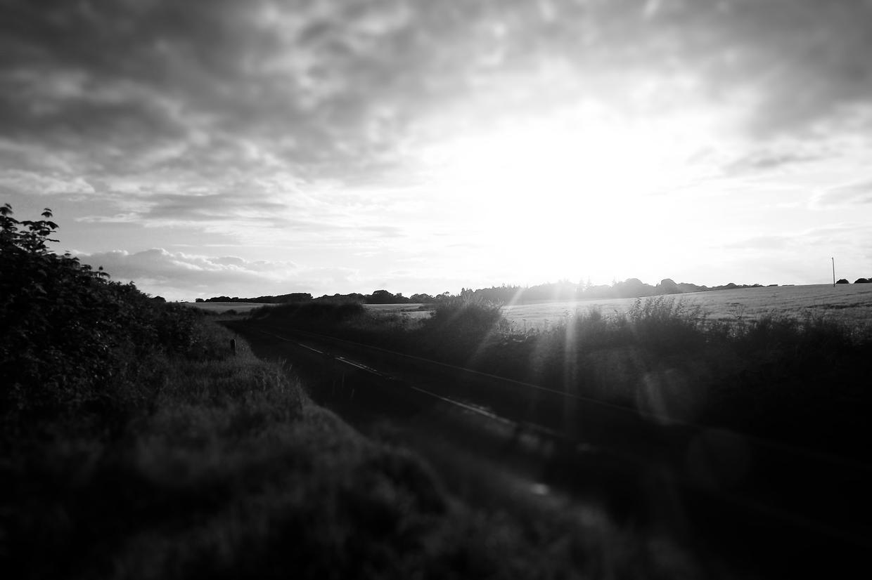 Facilis facilis natus adipisci aut